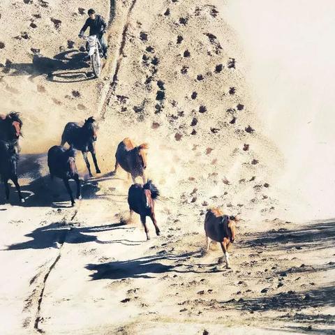 龙之秘境藏了多少玩家没挖到的隐藏机制？3月实测解锁史诗级收益