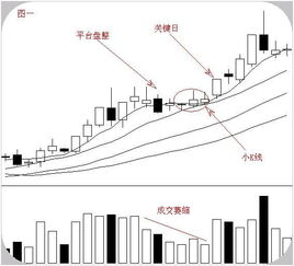 别再乱堆防御！机体调校的核心是特性放大