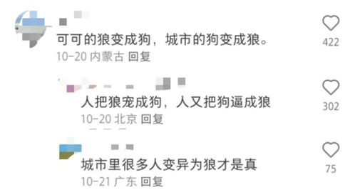 2026集五福还在瞎扫？我靠这4个「冷门路径」1天凑齐全家福