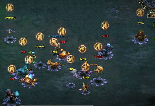 星辰变社区暗藏什么玄机？2026修行者实战数据首次曝光