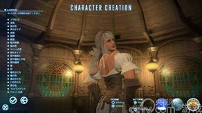 FF14盛大代理绝版档案，从1.0暴死到2.0重生的国服血泪史