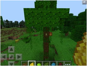 Grounded后院求生，2026年最新版微缩世界生存法则与隐藏机制全解