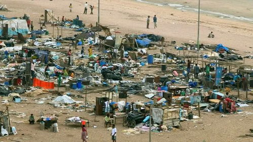 印度垃圾场火灾面积超50个足球场，城市生存策略游戏中的3个致命失误与实战避坑攻略