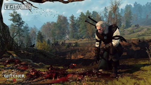 巫师3年度版还值得入坑吗？2025年终极实战指南与画质MOD深度解析