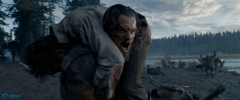 荒野猎人1080p蓝光原盘对比流媒体，2025年画质党终极选购指南