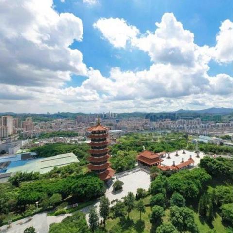 番薯杯打不过？2025最新tag组合与平民阵容全解析