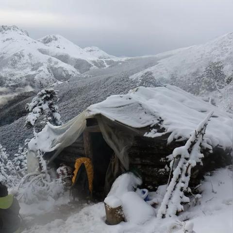 荒野日记角色类型全解析，2025下半年最强实战搭配与培养攻略