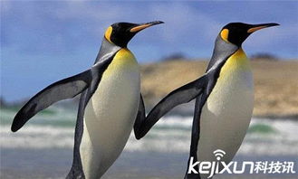 企鹅类型游戏彻底消失了吗？2025年最新替代品权威测评