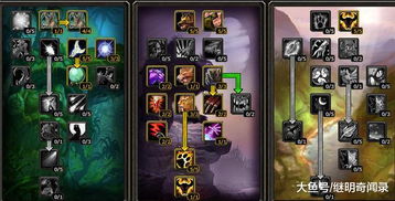 德鲁伊11.1版本隐藏机制曝光，DPS治疗坦度三开花实战全解