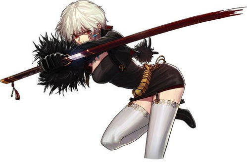 剑宗流，竞技场控场与秒杀艺术