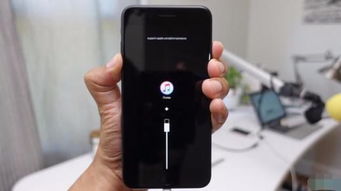 iPhone5行货价格2025，绝版收藏还是备用神器？二手市场3大陷阱与4个捡漏渠道实测