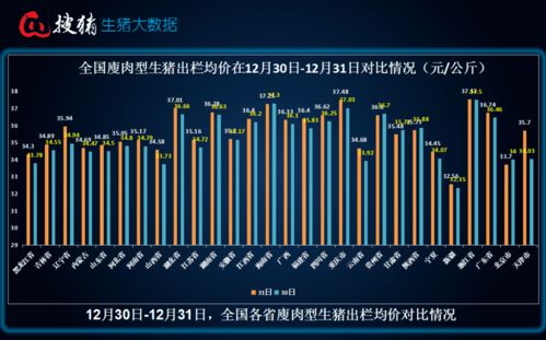 2026依然家族类型终极解析，7大分支强度榜+隐藏机制全曝光