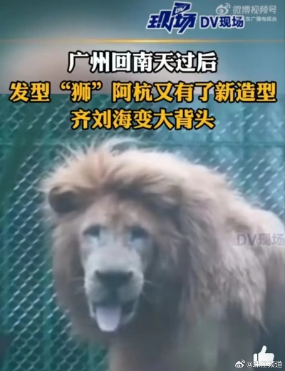 齐刘海狮子换大背头绝版发型解锁攻略，2025最新隐藏造型码全收录