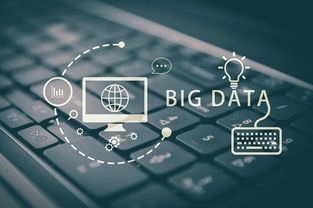 九阴真经2025下半年最强门派是谁？实测数据颠覆认知