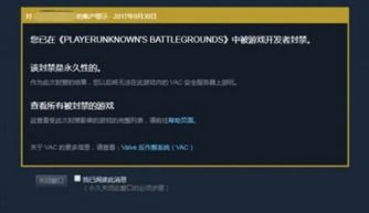 西西挂类型全解密，2025年最新功能分类与反封号实战指南