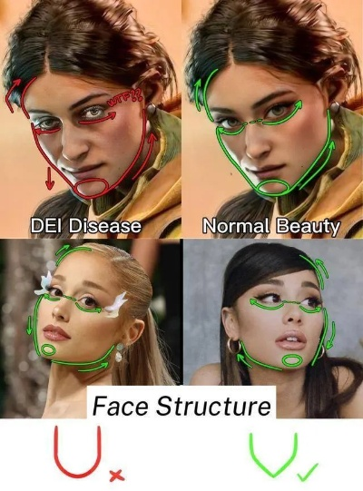 2026最新跨文化审美报告，顶级游戏角色脸型设计的黄金标准揭秘