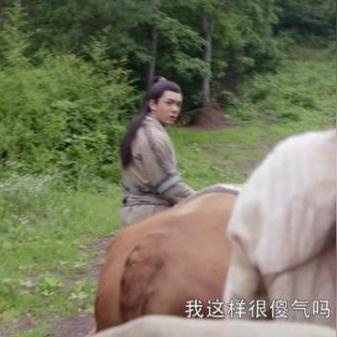 九阴真经粗布类型全解析，2025最新获取攻略与隐藏用途揭秘