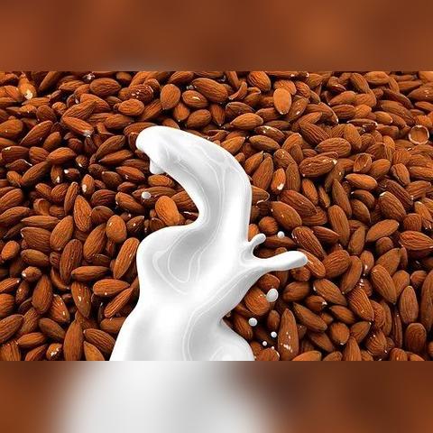 暴力摩托2025终极指南，从经典复刻到现代替代品的硬核评测