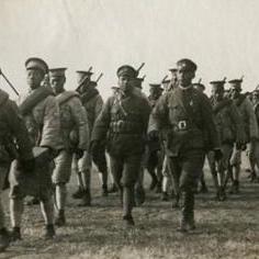 讨伐革命团速通秘籍，2025最新刷新规律与T0阵容实测数据