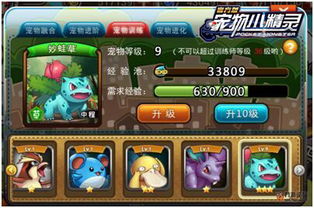 数码宝贝世界复原解码寿命系统怎么破？终极进化路线与实战养成指南