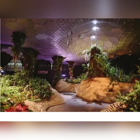 帝国试验场类型定位与版本变动