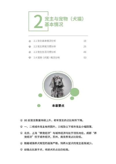 2025年桌面宠物下载安全白皮书，为什么90%用户都在用这7款零风险神器？