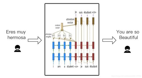 石英晶体类型与底层机制全解码