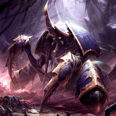 阿努布雷坎虫群瘟疫破解法，2025最新实战数据与走位技巧