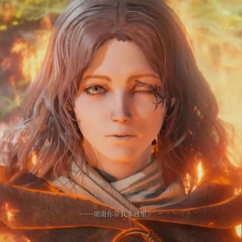 艾尔登法环职业终极指南，2025黄金树之影版本T0流派全解析