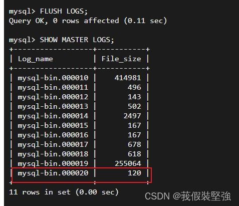 2025增强萨满属性优先级终极指南，数据实证配装与输出手法全解析