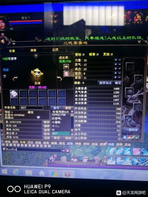 天龙私服gogoxl类型深度揭秘，2025超变服架构与玩家实战指南