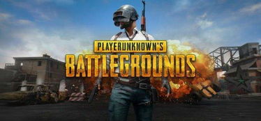 绝地求生国服预约官网类型深度拆解，3大核心功能与玩家高频问题终结篇