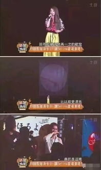 QQ炫舞演唱会类型全解密，2025最新人气爆破技术与隐藏机制深度拆解