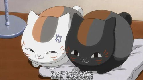 夏目友人帐猫咪老师真实形态揭秘，大妖怪斑战力全解析与SSR培养攻略