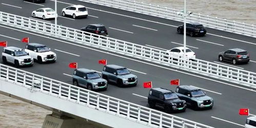 滴滴崩了打不到车？2025年实测3大应急方案与内部补偿通道