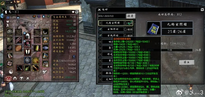 九阴真经神风诀隐藏机制曝光，高玩私藏的三套质变搭配与2025实战数据