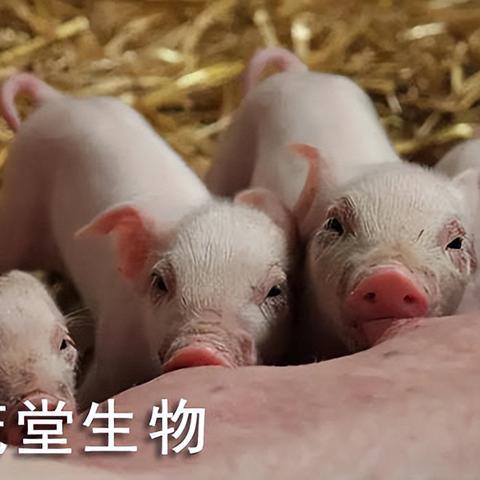 狂犬惊魂隐藏结局怎么触发？全感染者击杀顺序+资源管理终极公式