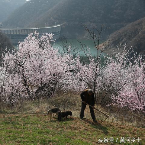联想游戏类型终极解码，2025年场景化匹配指南+30个实战玩法