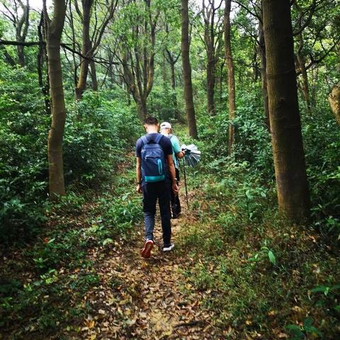 神秘岛5终极通关指南，2025年现代系统运行+石板谜题全解