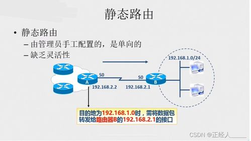 花羽鹦鹉掉落机制全解析，2025年最快获取路线实测