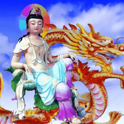 还在卡关？第三次生日高难度关卡实战打法与系统机制完全指南