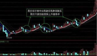 2025独行道类型终极抉择，数据揭秘3大隐藏T0流派与版本陷阱