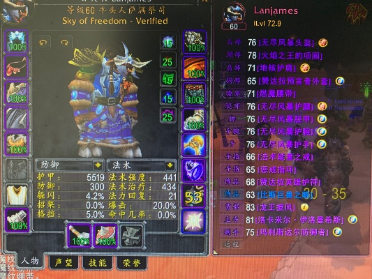 元素萨图腾团队配装黑幕，WCL前100名都在偷藏这些细节