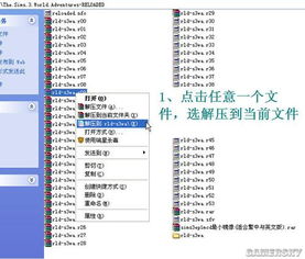 模拟人生2序列号失效？2025年最新激活方案与免CD补丁实战教程