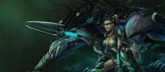 2025狂野女猎手天赋终极指南，电刑黑暗收割征服者三流派实战拆解