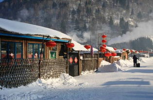 雪乡旅游团报价水多深？2025年亲历实测，从398元陷阱到纯玩团真相