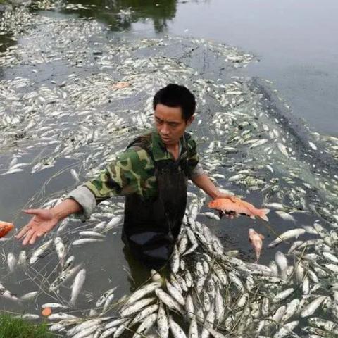 2025王者新赛季时间终极指南，赛季周期、段位继承、上分黄金期一网打尽