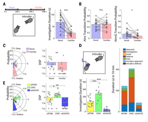 能源中心圣物隐藏机制曝光，刷取路线+组合公式+避坑指南