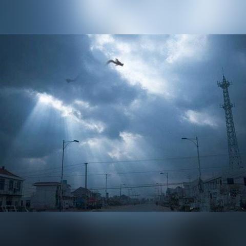 金鳞龙阵容终极答案，2025年6月最新数据揭秘最强运营路线