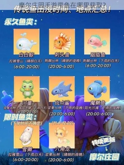 摩尔庄园带鱼在哪钓，从入门到精通的终极钓鱼指南（2025绝密钓点实测）